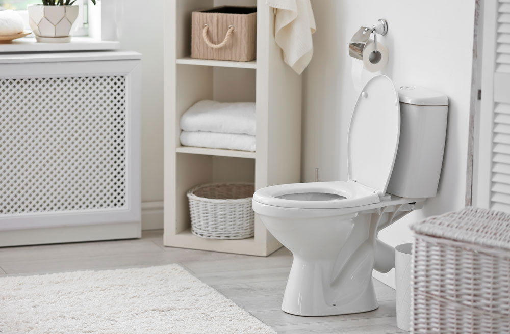 Gilbert Toilet repair and installation